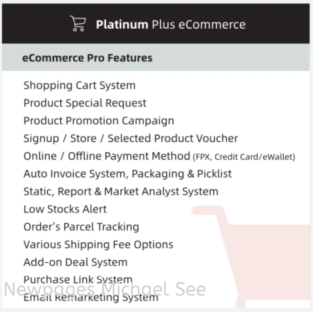 Platinum Plus eCommerce Package