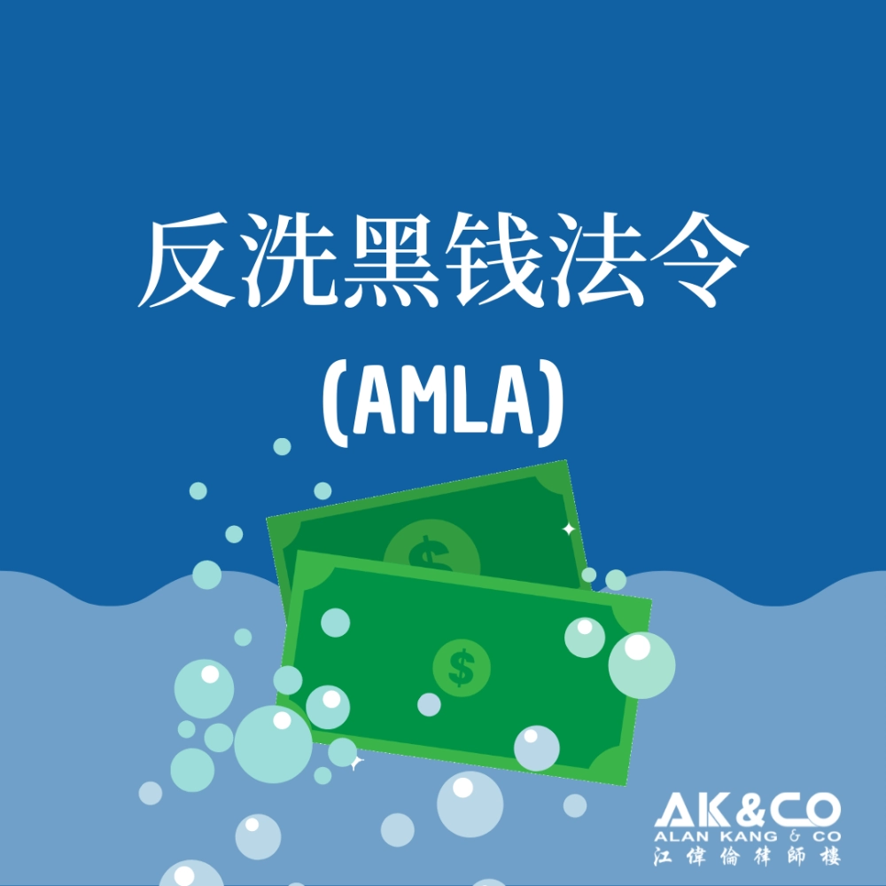 反洗黑钱法令 (AMLA 2001 )