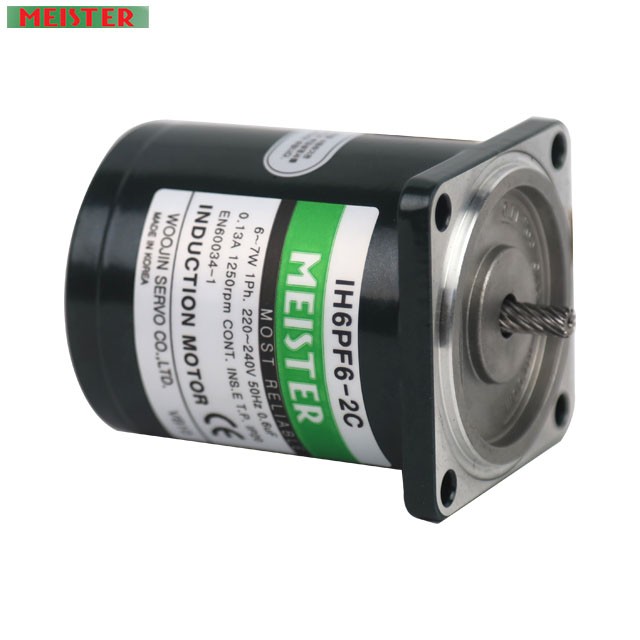 IH6PF6-2C MEISTER Induction 6W Motor