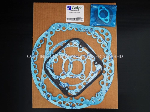 06EA660071 Gasket Set