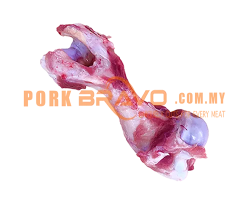 SHOULDER FEMUR BONE