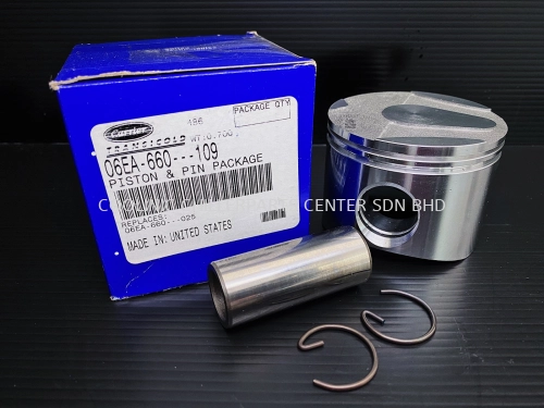 06EA660109 Piston & Pin Package