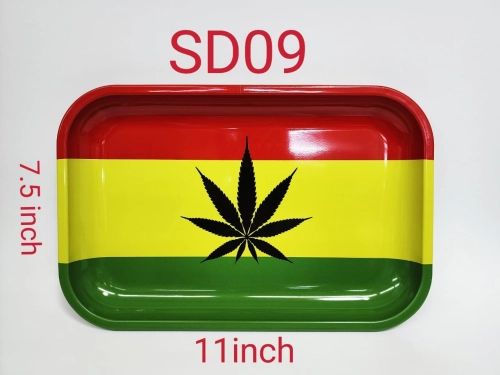 SD09