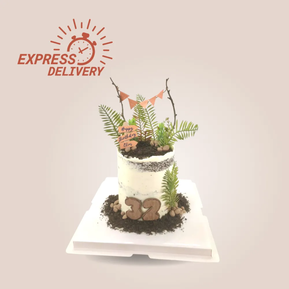 Express Cake