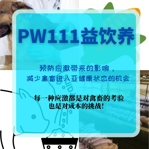 PW111-益饮养 电解质和乳酸菌的结合