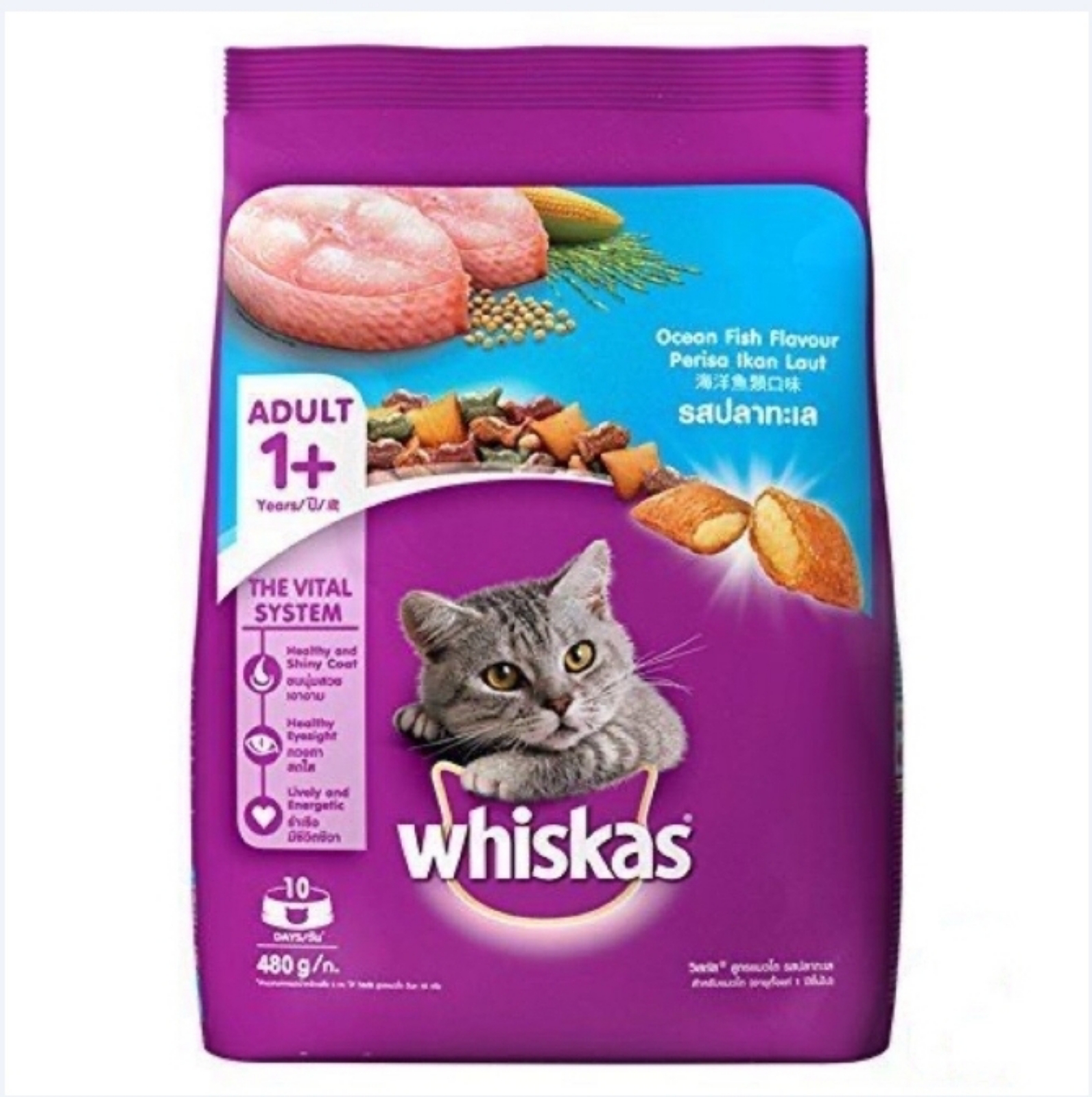 Whiskas 1+ Dry Food Ocean Fish 480g