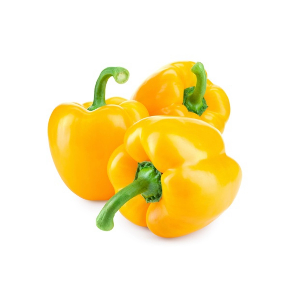 Capsicum Yellow/ Cili Epal kuning Per Pc