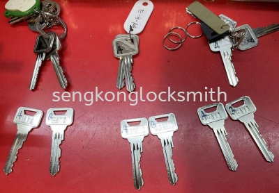 dimple key, house key, padlock key, 