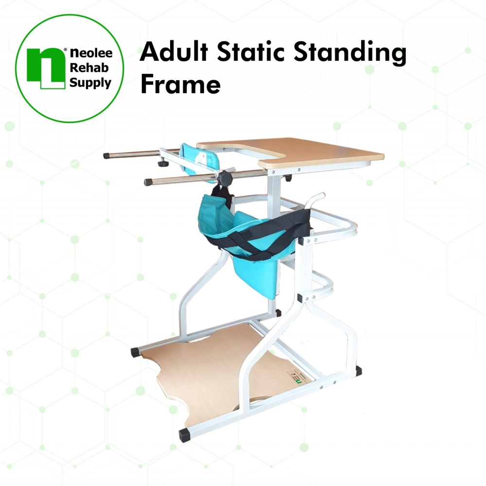 NL-ZLJ-1 Adult Static Standing Frame