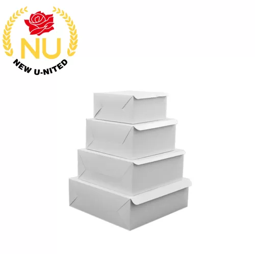 CAKE FOLDING BOX WHITE
