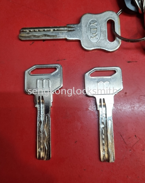 dimple key  duplicate key Selangor, Malaysia, Kuala Lumpur (KL), Puchong Supplier, Suppliers, Supply, Supplies | Seng Kong Locksmith Enterprise