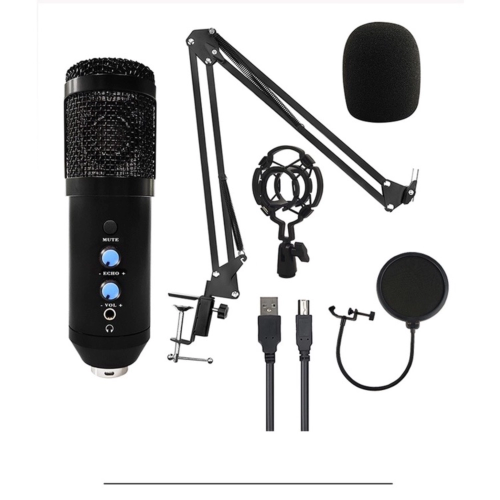 USB Condenser Recording Microphone Youtube Podcast Instrument Live  Broadcast Voice Chat Microphone Voice Over Selangor, Klang, Kuala Lumpur  (KL), Malaysia Supplier, Suppliers, Wholesaler, Retailer | R & E GADGET SDN  BHD
