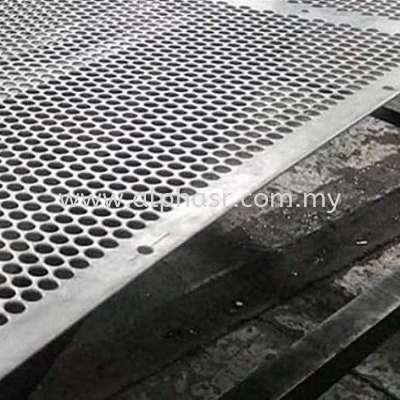 Stainless Steel Perforated Sheet/Plate