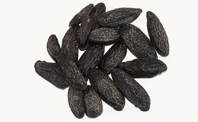 Tonka Bean Absolute
