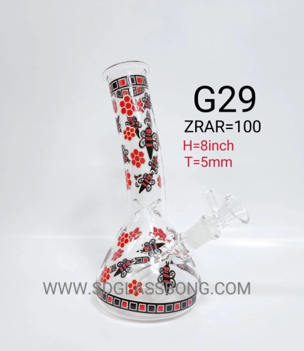 G29