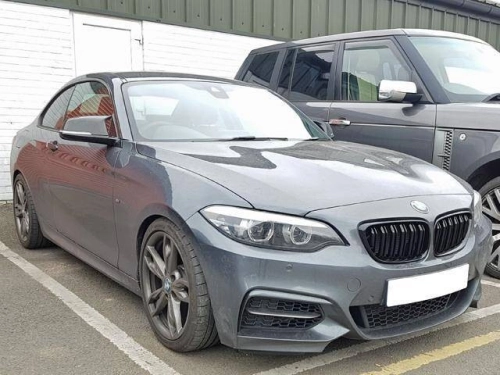 2 Series F22 Double Grille