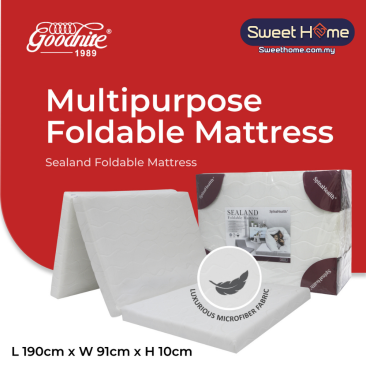 Goodnite Sealand Foldable Mattress (4 Inch), Removable Zip Cover