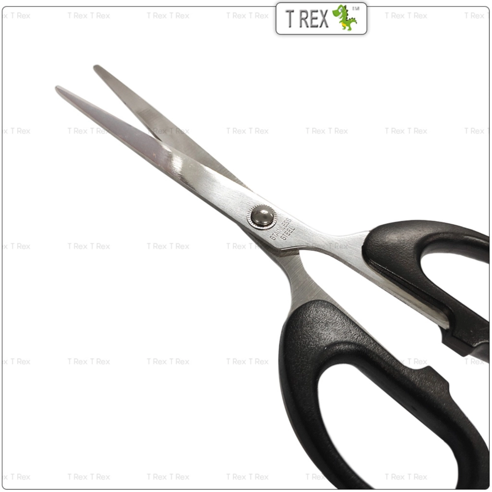 Dingli 6 Inch Stainless Steel Scissors