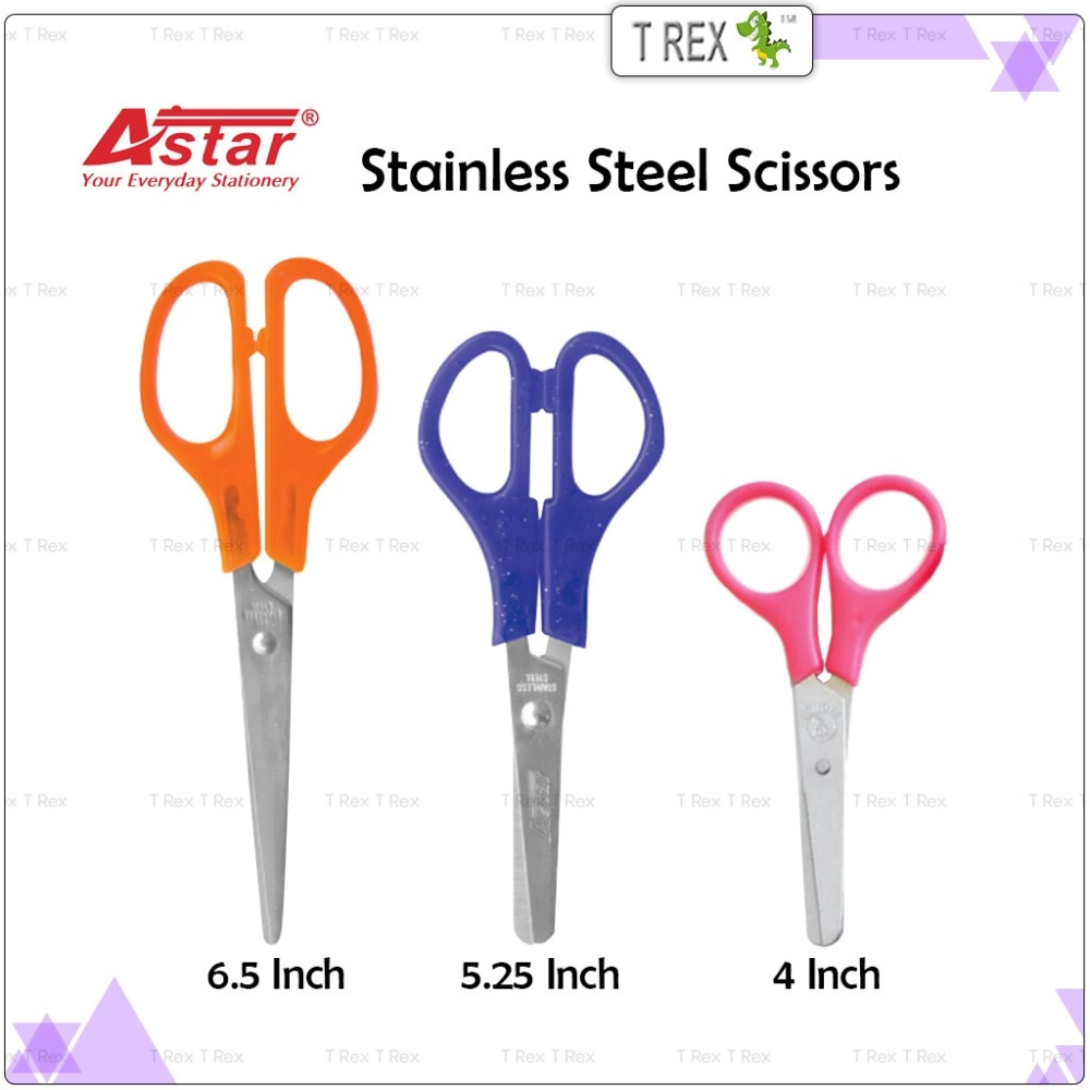 Astar Stainless Steel Scissors