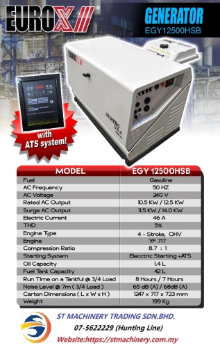 EUroX EGY12500HSB 10KW /240V GASOLINE GENERATOR