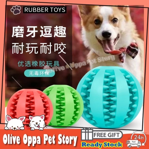 Watermelon Spherical Molars Chewing Leaking Food Ball Pet Toy