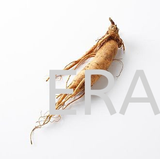 Ginseng Herbs Extract Beverage & Dairies Butterworth, Penang, Malaysia Drink Powder, Cooking Seasoning, Nutritional Powder | Era Ingredients & Chemicals Sdn Bhd