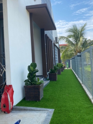 Artificial Grass