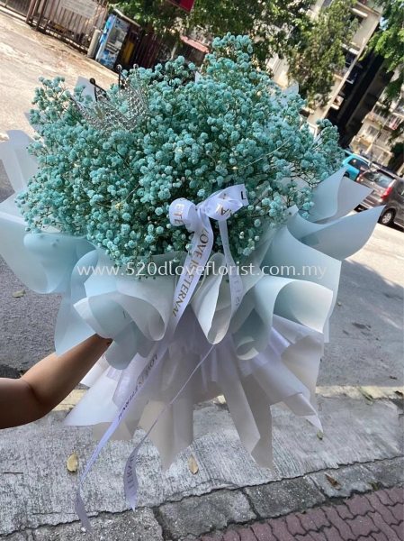  BABY BREATH M Kuala Lumpur (KL), Malaysia, Selangor, Cheras Supplier, Suppliers, Supply, Supplies | 520 D Love Florist