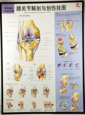 W.6 KNEE JOINT CHART ϥؽڽ봴˹ͼ