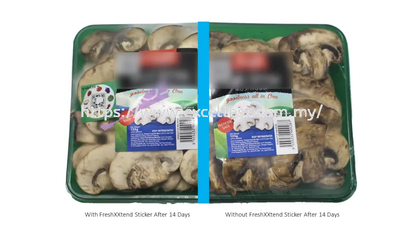 FreshXXtend Extend Shelf life of Mushroom
