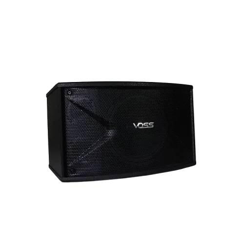 VOSS Audio K-10B Karaoke Speaker 