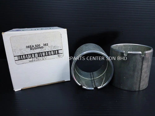 06EA500362 Main Bushing/Bearing, Motor End