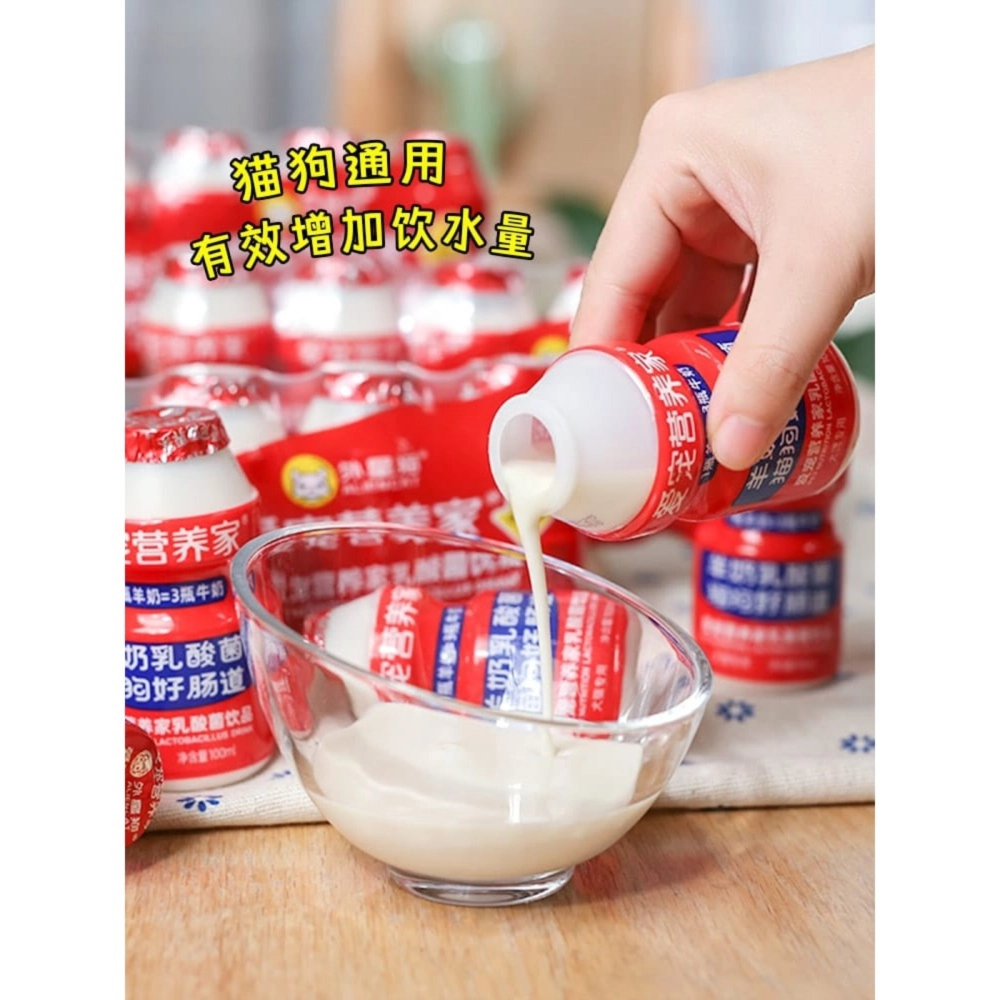 Pet Goat Milk Flavour Lactobacillus Drink Dog Snacks/Dog Milk/Pet Milk/Pet Yogurt