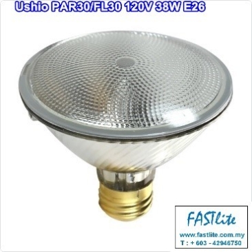 Ushio PAR30/FL30 120V 38W E26