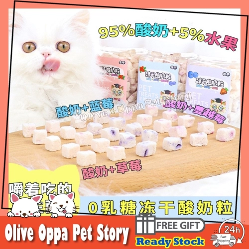 Cat Treats Yogurt Cube Freeze Dried Lactose-free/probiotics 40g Cat Snack