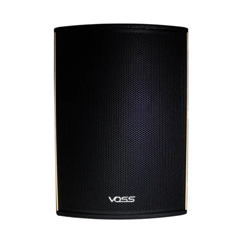 VOSS Audio MK-2106 Karaoke Speaker 