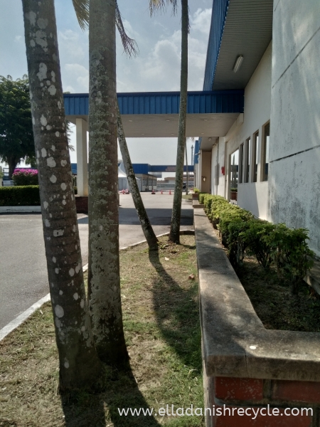 GrassCutting & Landscape By ELLA DANISH ENTERPERISE Grass Cutting Service Kulim, Kedah, Malaysia Buyer, Supplier, Supply | Ella Danish Enterprise