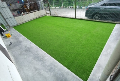 Artificial Grass