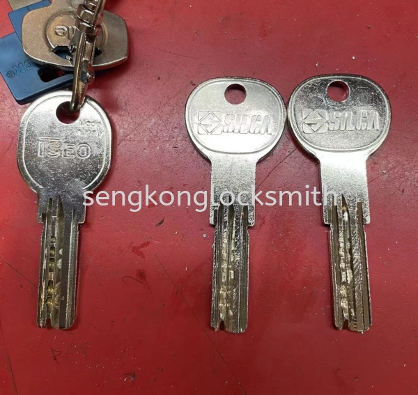 iseo key duplicate key Selangor, Malaysia, Kuala Lumpur (KL), Puchong Supplier, Suppliers, Supply, Supplies | Seng Kong Locksmith Enterprise