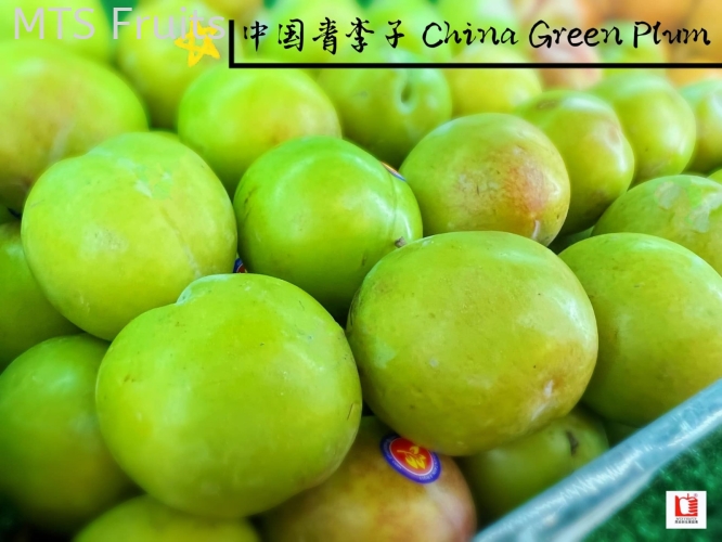 China Green Plum 中国青李子