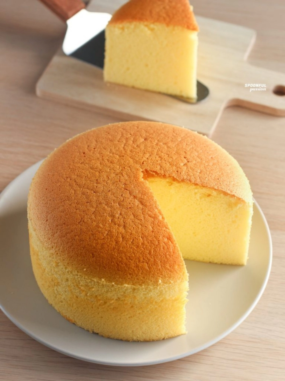 Sponge Cake Mix 海绵蛋糕预拌粉