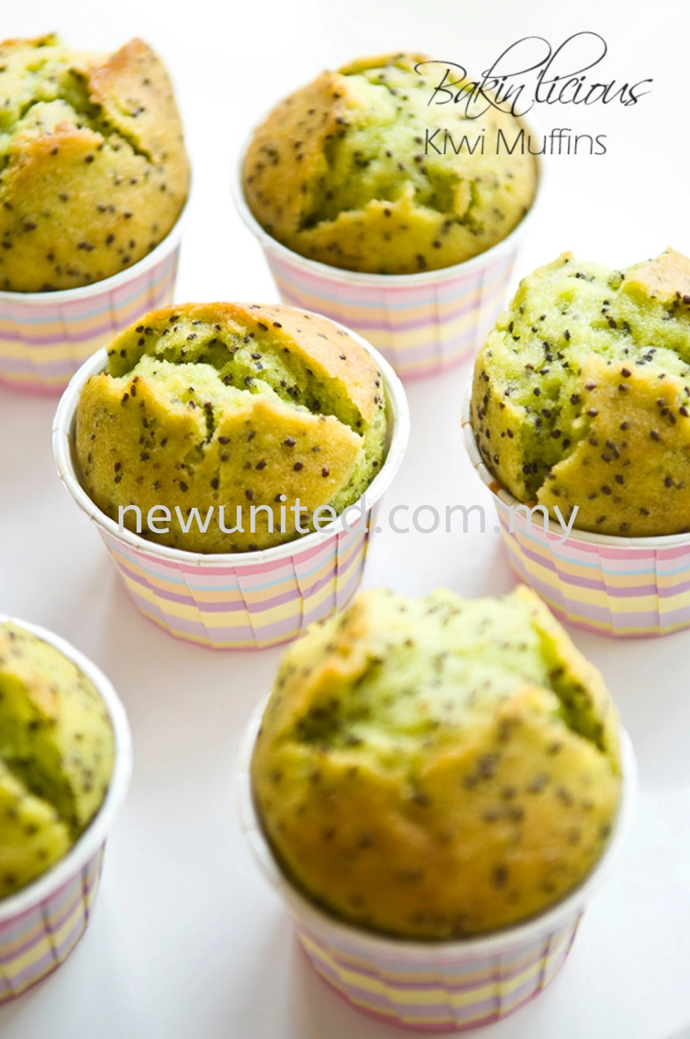 Kiwi Muffin Cake Mix 奇异果玛芬蛋糕预拌粉