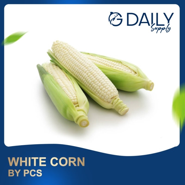 White Corn Vegetables Selangor, Malaysia, Kuala Lumpur (KL), Batu Caves Supplier, Suppliers, Supply, Supplies | G DAILY SUPPLY SDN BHD