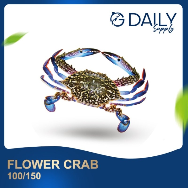 Flower Crab 100/150 Crab / Prawn Selangor, Malaysia, Kuala Lumpur (KL), Batu Caves Supplier, Suppliers, Supply, Supplies | G DAILY SUPPLY SDN BHD