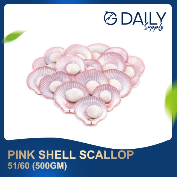 Pink Shell Scallop 51/60 Scallop / Squid / Shell Seafood Selangor, Malaysia, Kuala Lumpur (KL), Batu Caves Supplier, Suppliers, Supply, Supplies | G DAILY SUPPLY SDN BHD