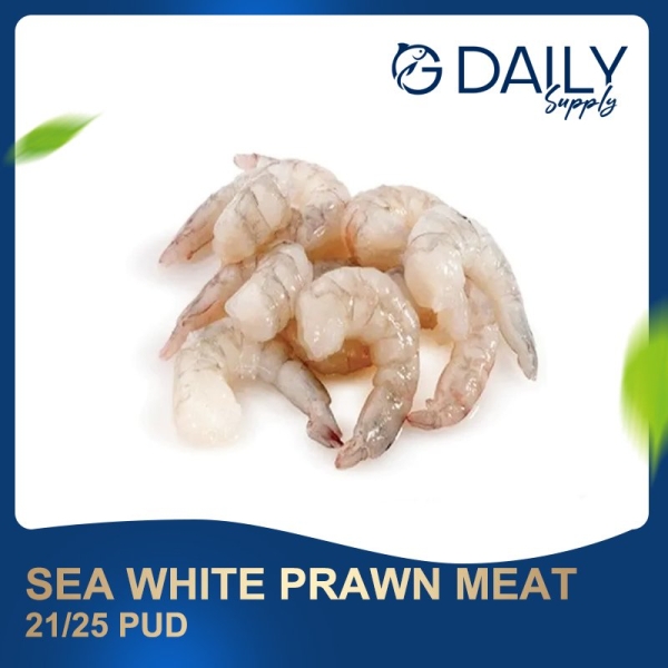 Sea White Prawn Meat 21/25 PUD Crab / Prawn Selangor, Malaysia, Kuala Lumpur (KL), Batu Caves Supplier, Suppliers, Supply, Supplies | G DAILY SUPPLY SDN BHD