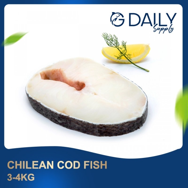 Chilean Cod Fish  Fish Selangor, Malaysia, Kuala Lumpur (KL), Batu Caves Supplier, Suppliers, Supply, Supplies | G DAILY SUPPLY SDN BHD