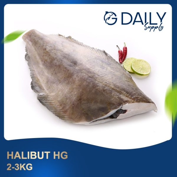 Halibut HG Fish Selangor, Malaysia, Kuala Lumpur (KL), Batu Caves Supplier, Suppliers, Supply, Supplies | G DAILY SUPPLY SDN BHD