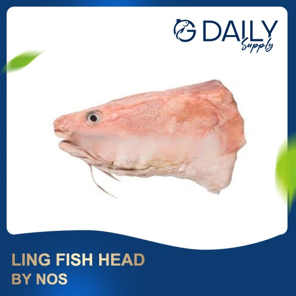 Ling Fish Head Fish Selangor, Malaysia, Kuala Lumpur (KL), Batu Caves Supplier, Suppliers, Supply, Supplies | G DAILY SUPPLY SDN BHD