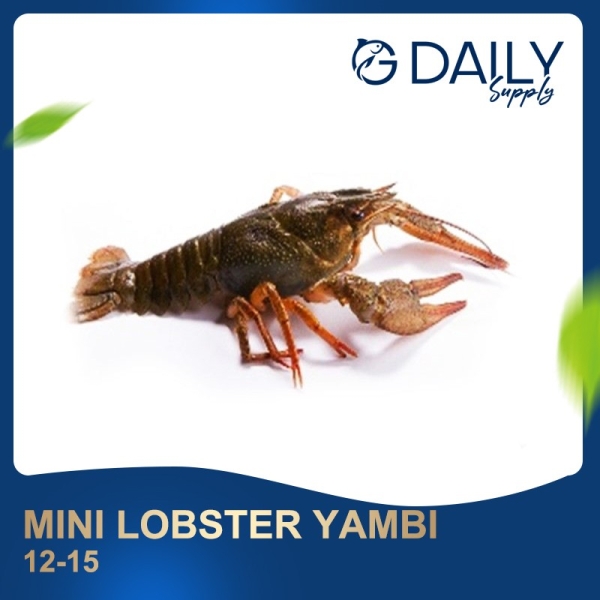 Mini Lobster Yambi 12-15 Crab / Prawn Selangor, Malaysia, Kuala Lumpur (KL), Batu Caves Supplier, Suppliers, Supply, Supplies | G DAILY SUPPLY SDN BHD